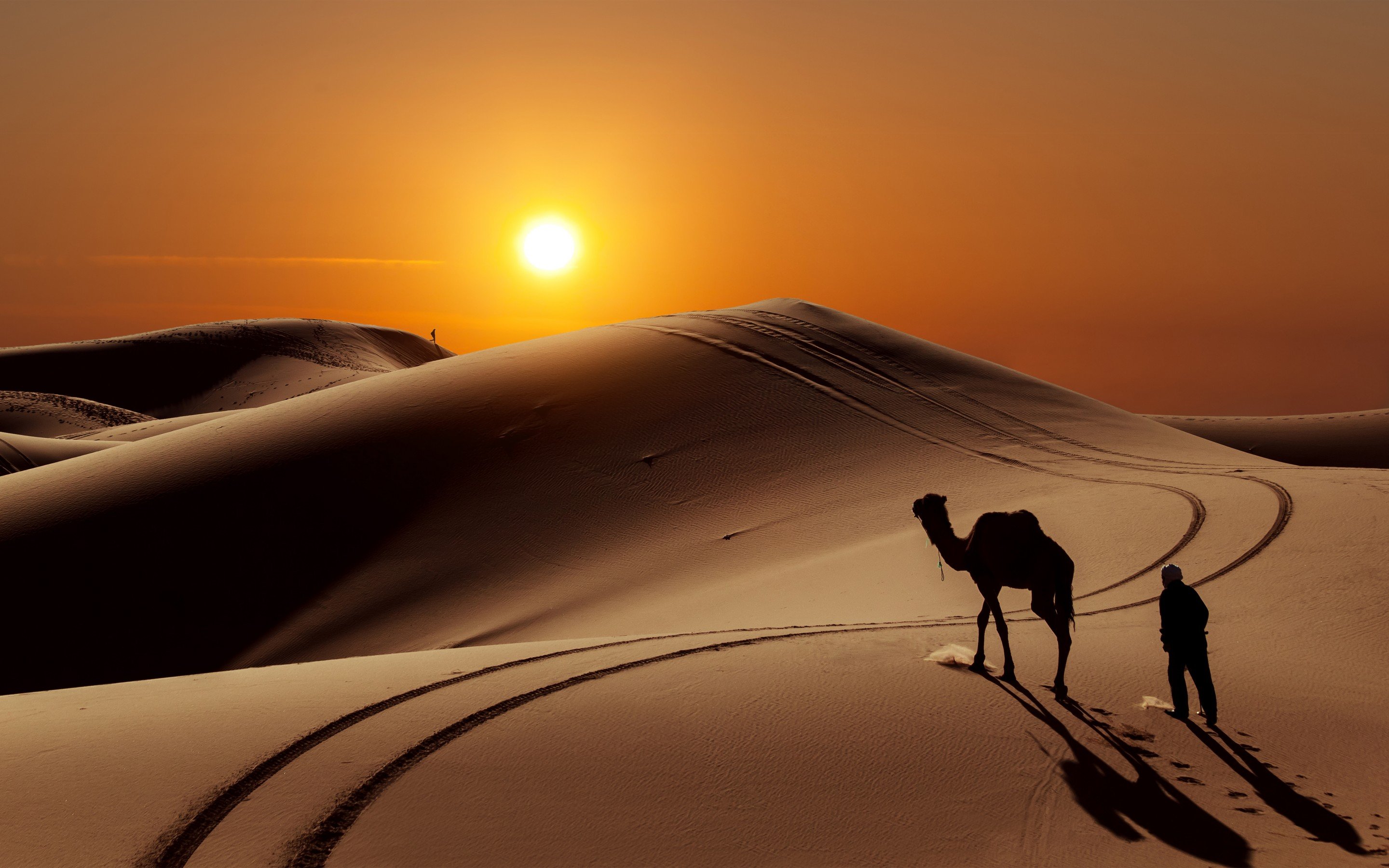 Desert Sand Dunes Camels People Sun Wallpaper Background