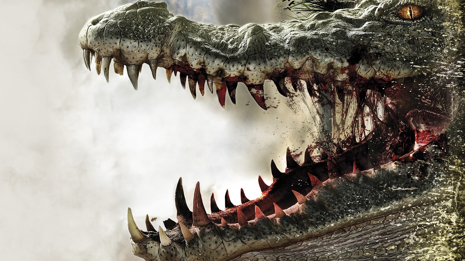 32,218 Crocodile Stock Photos, High-Res Pictures, and Images - Getty Images