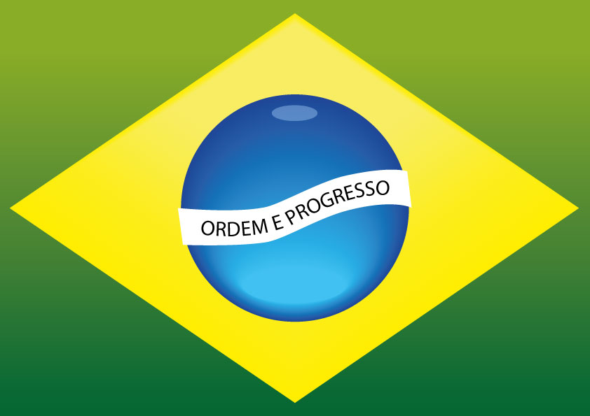 Bandeira Do Brasil By Renata Silva