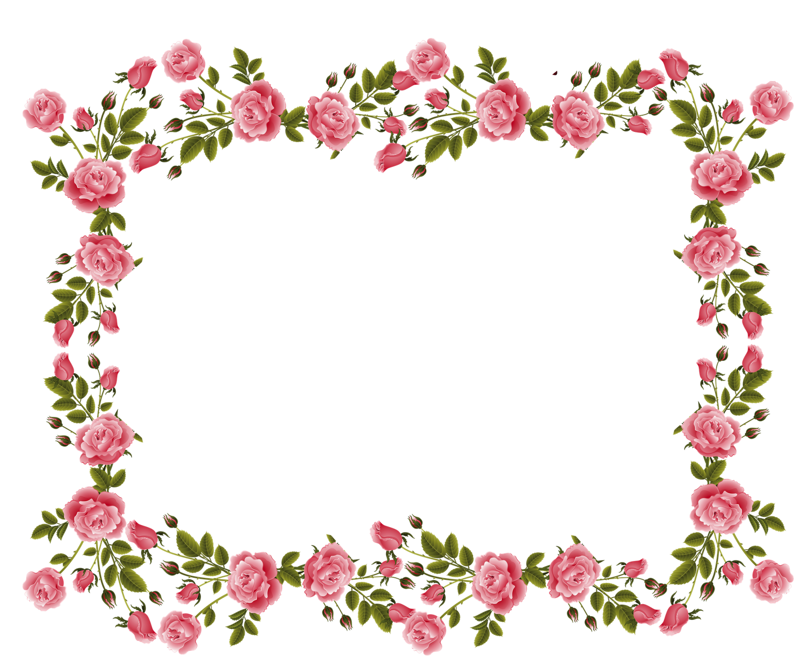 Flower Frame For Photo Delicate Pink Roses Psd Png