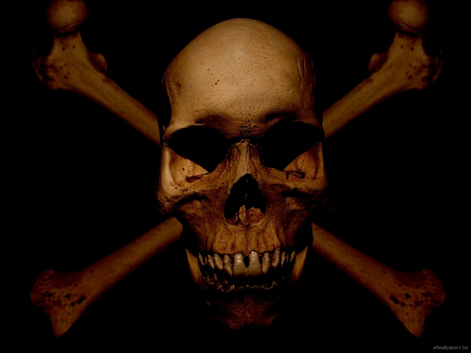 Wallpaper Skull Art Desktop Background Puter