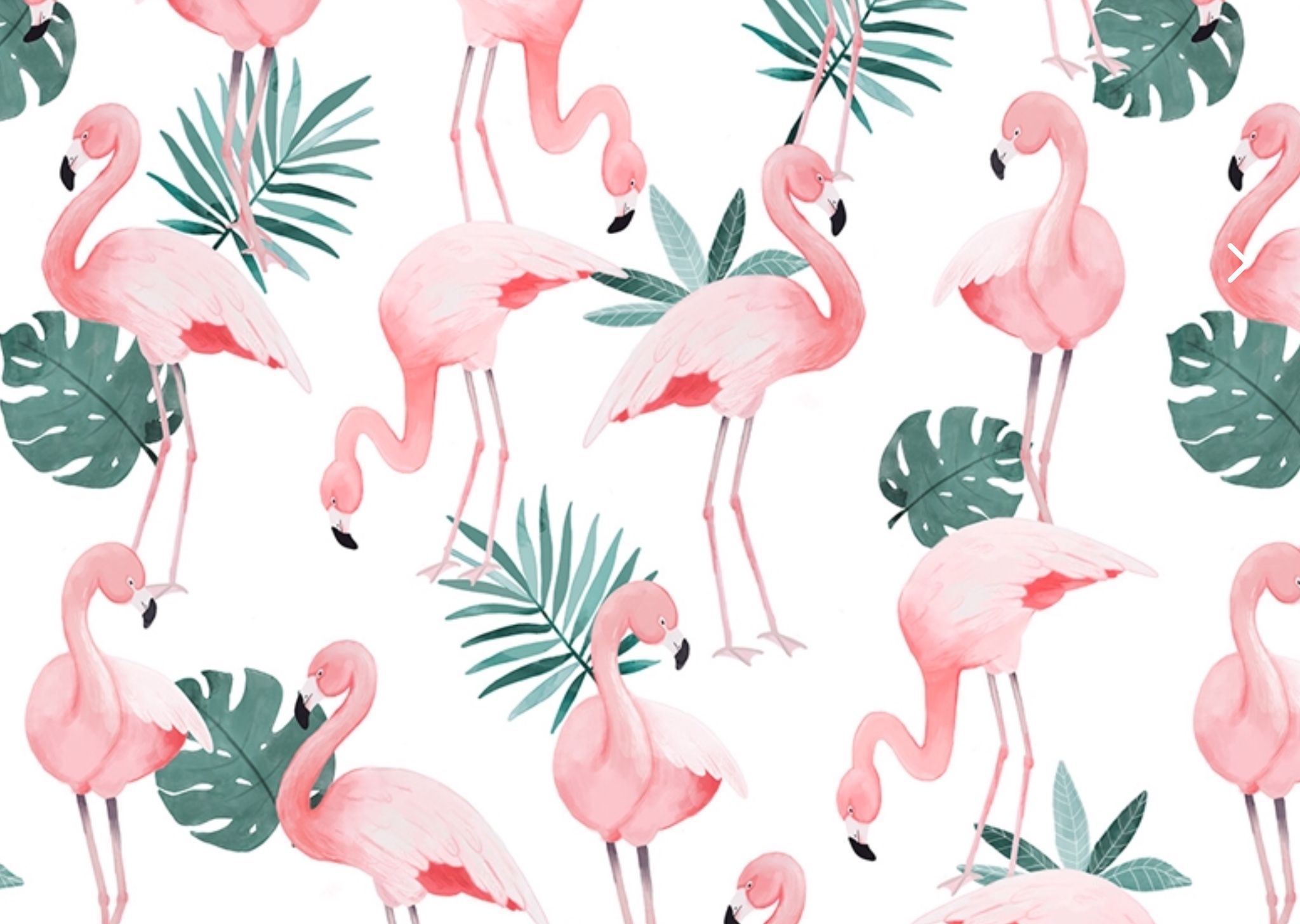 Flamingo Laptop Wallpaper Top Background