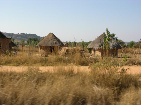 Zimbabwe S Traditional Huts Photo