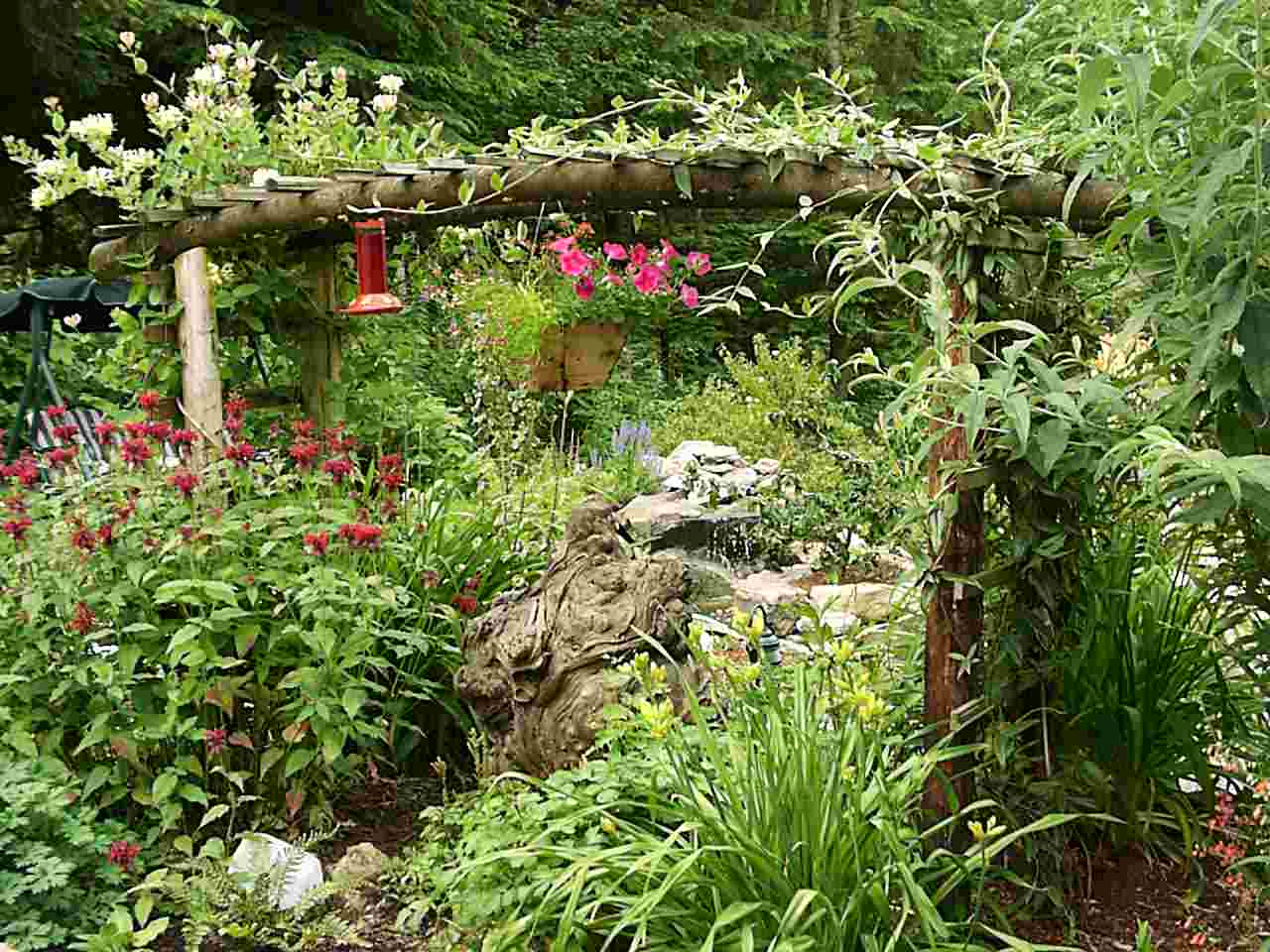 Free Download Gardener S Forum Butterfly Garden Wallpaper Borders