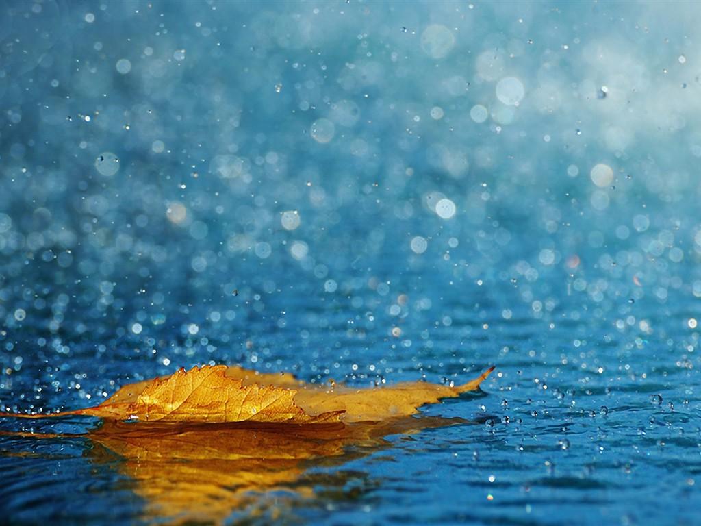 Pouring Rain Wallpaper On