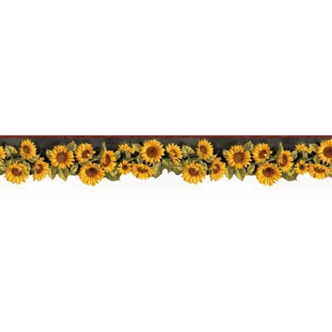 Big Bold Sunflower On Black W Burgundy Edge Wallpaper Border All