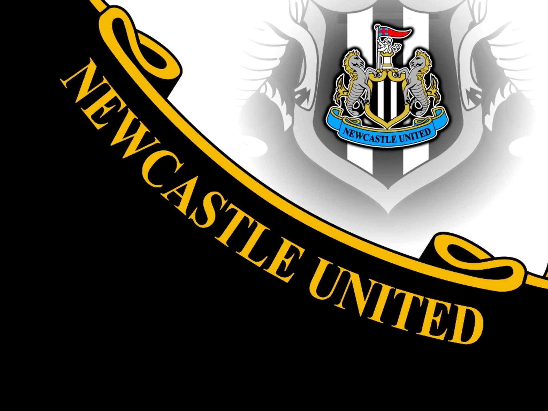Newcastle United F C Wallpaper Wallpaperin4k Pl