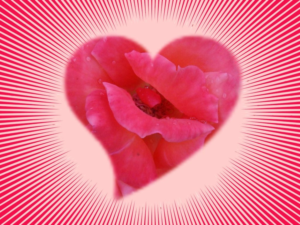 Valentine Wallpaper Red Heart
