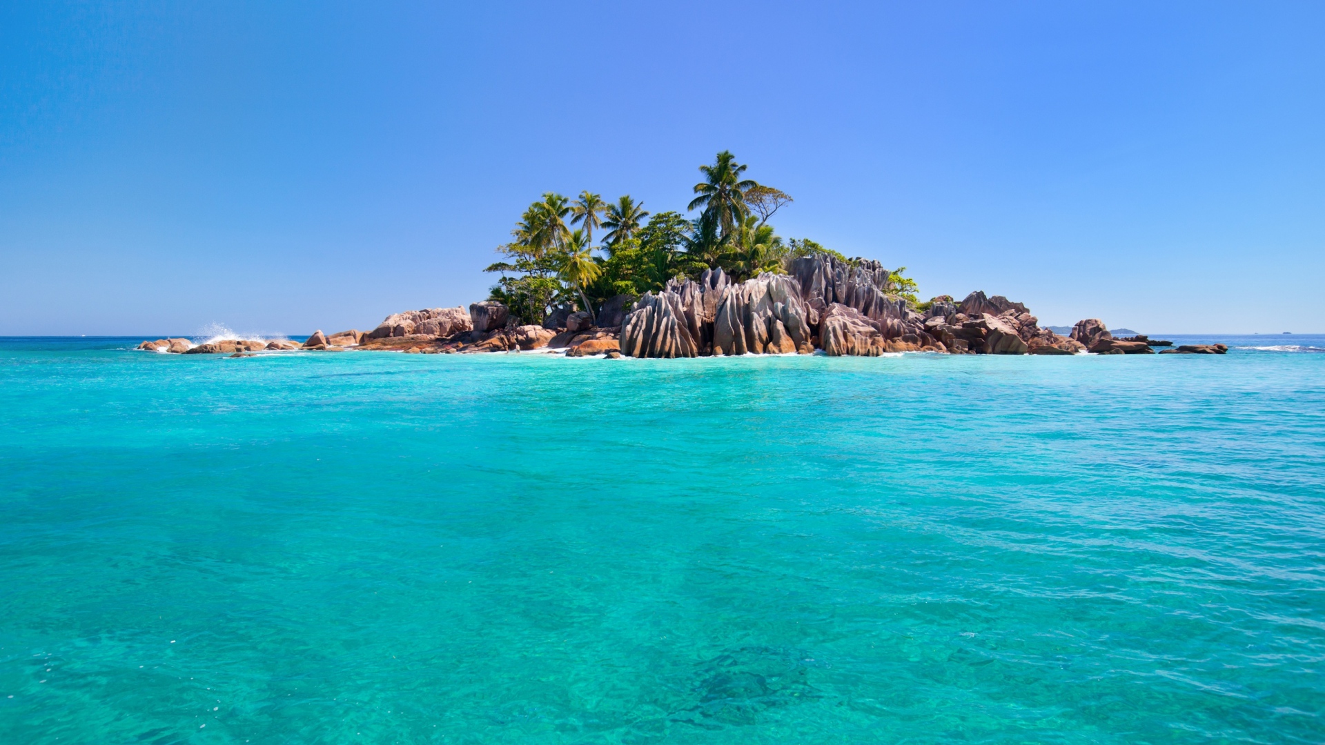 Tropical Island Sea Palm Trees Stones Full HD 1080p Background