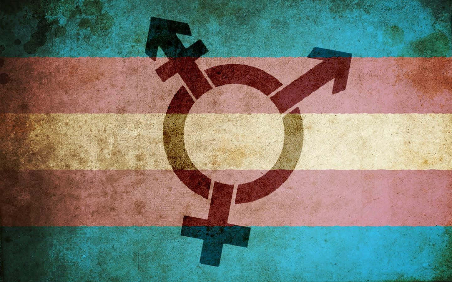 Trans Pride Wallpaper