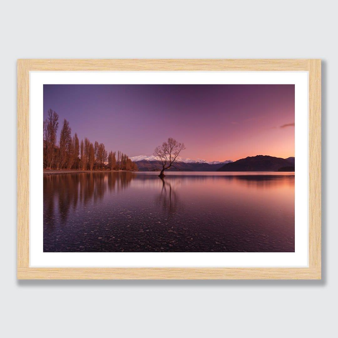 Morning Glow Wanaka Photographic Print By Mike Mackinven