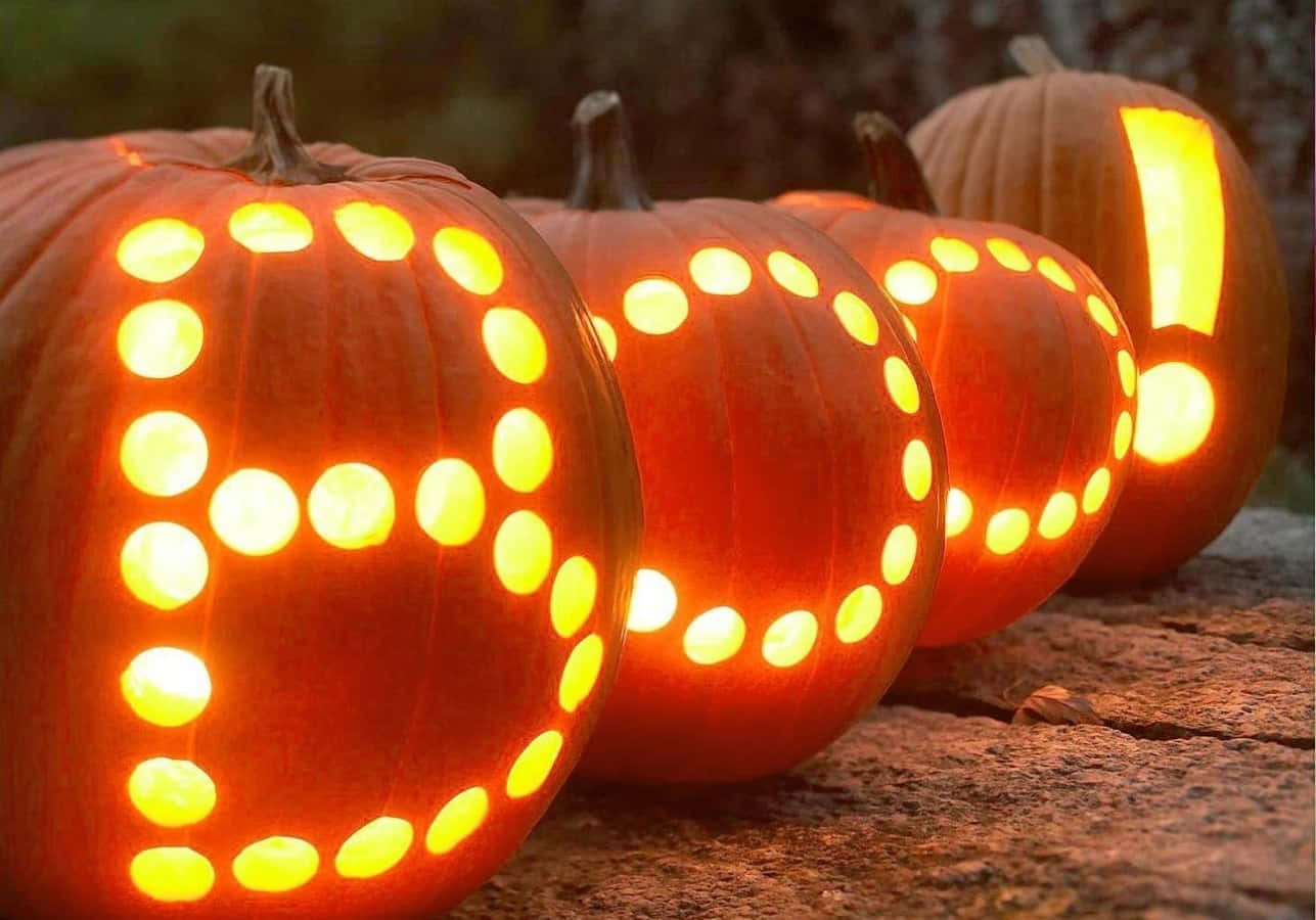 Cute Pumpkin Picture Wallpaper