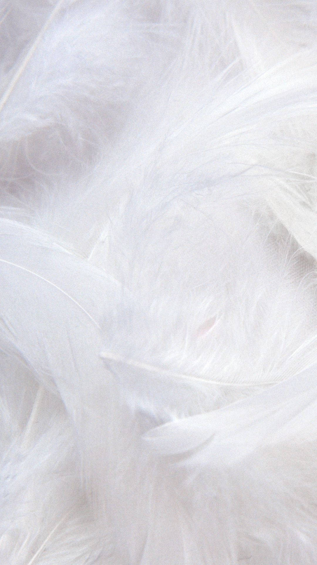 White Aesthetic Iphone Wallpaper