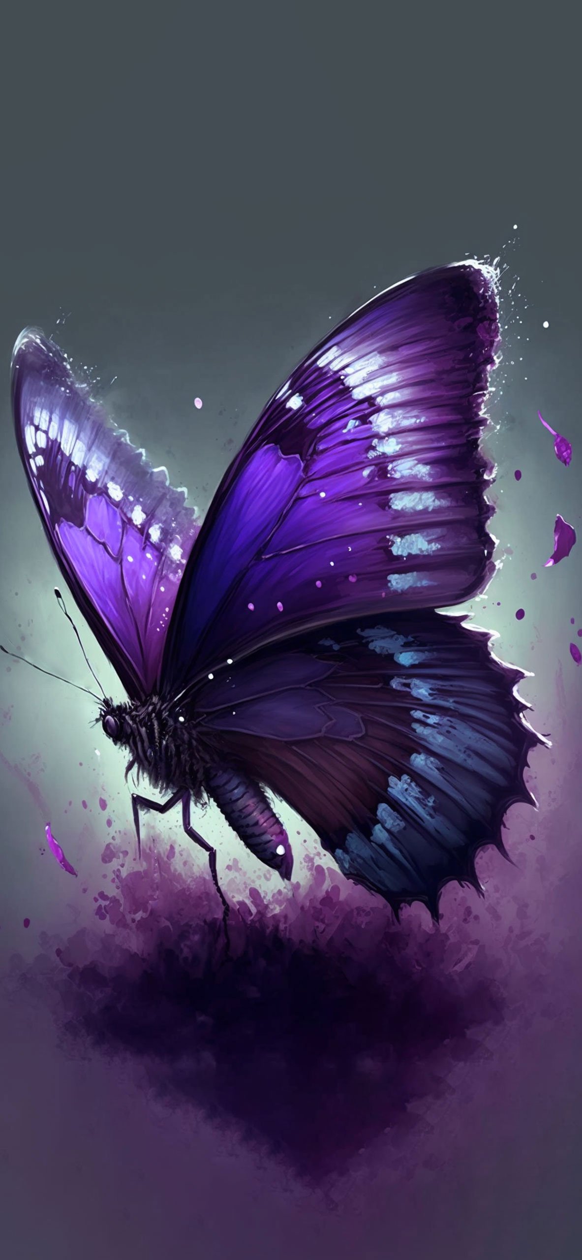 Purple Butterfly Wallpaper