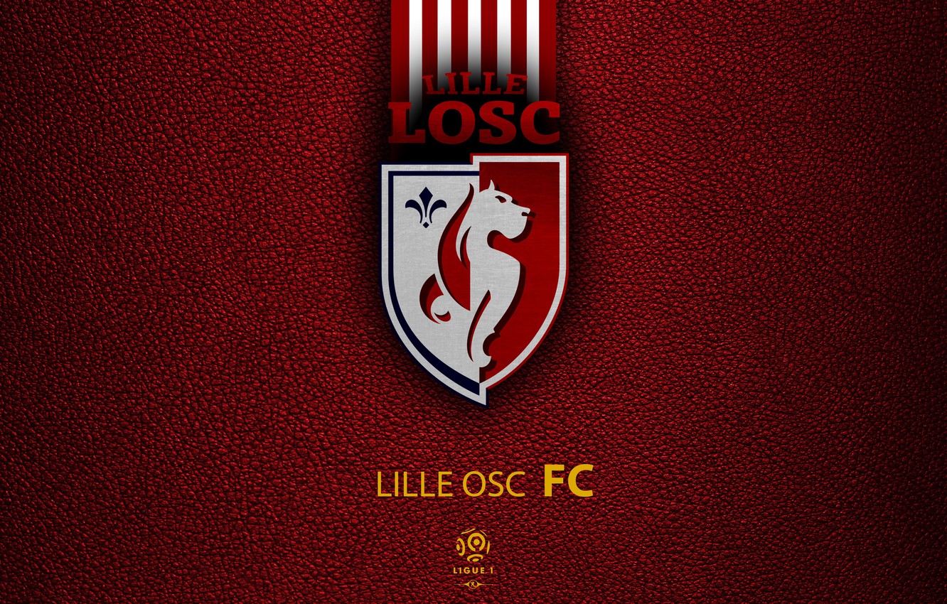 Wallpaper Sport Logo Football Ligue Lille Osc