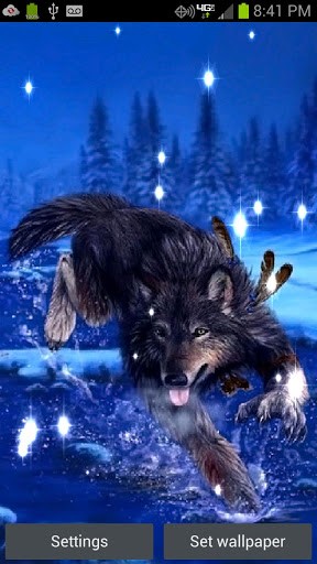 Bigger Native Wolf Live Wallpaper For Android Screenshot