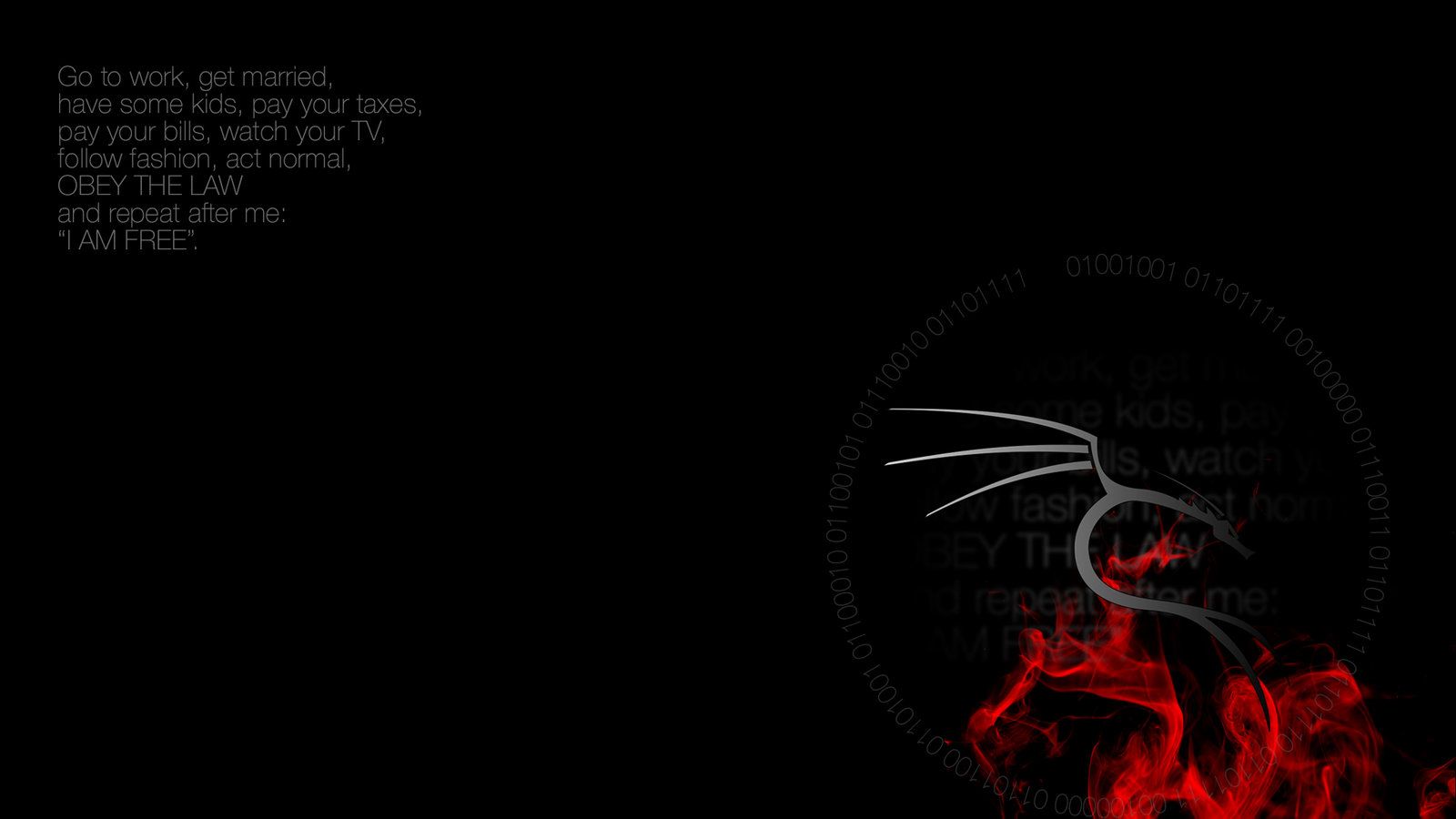 Kali Linux 3d Wallpaper