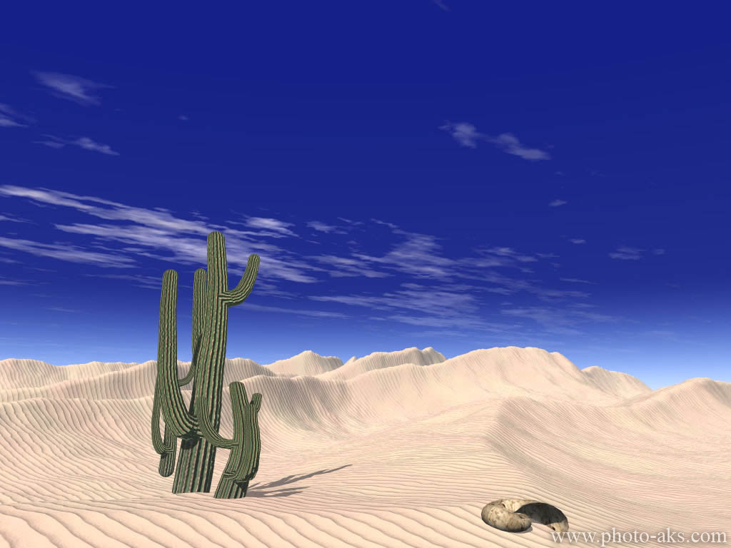 Desert 3d Landscape Wallpaper