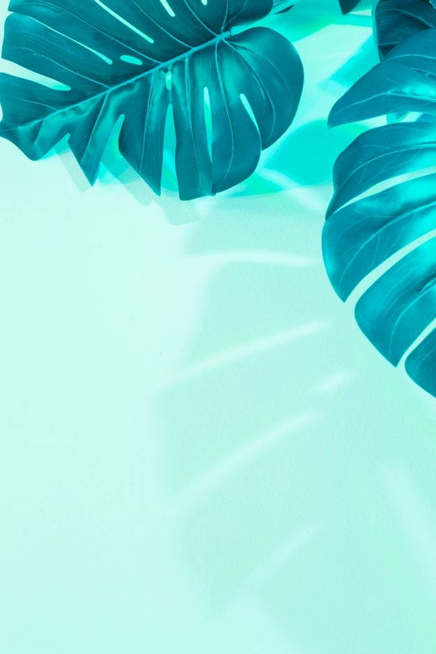 Mint Green iPhone Wallpaper