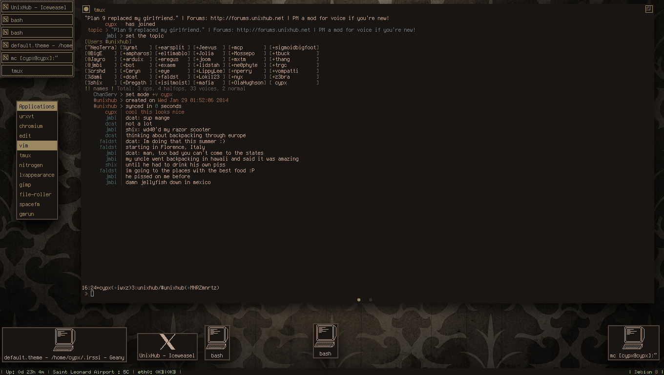 Debian Twm Screenshot By Ipodpunker