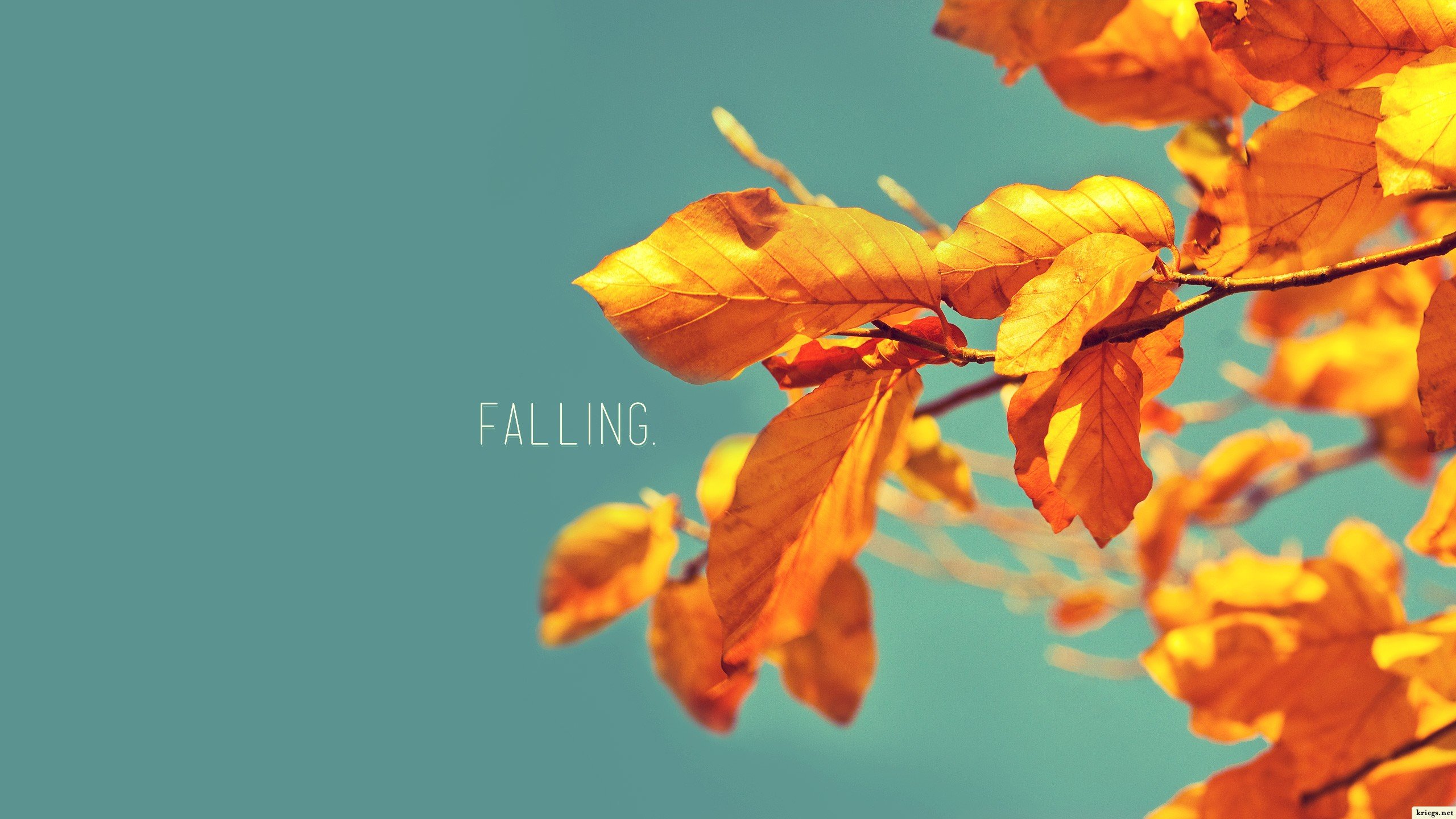 Autumn November Wallpaper HD