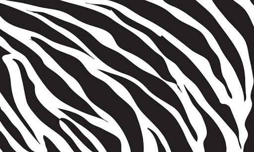 Bigger Zebra Print HD Live Wallpaper For Android Screenshot