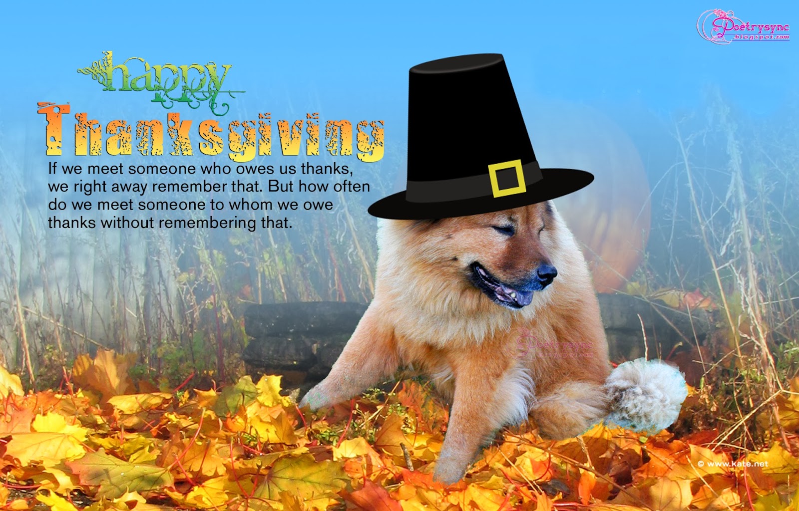 Thanksgiving Day Wishes Quotes Cards And Pictures With