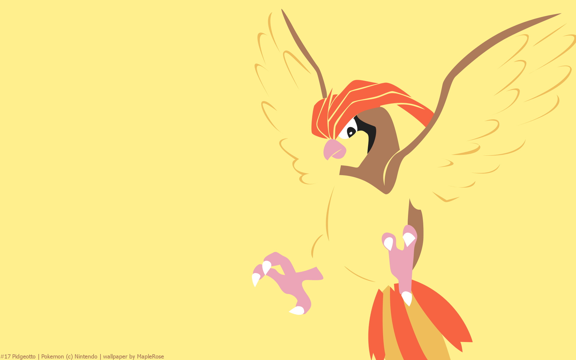 Pidgeot HD Wallpaper On