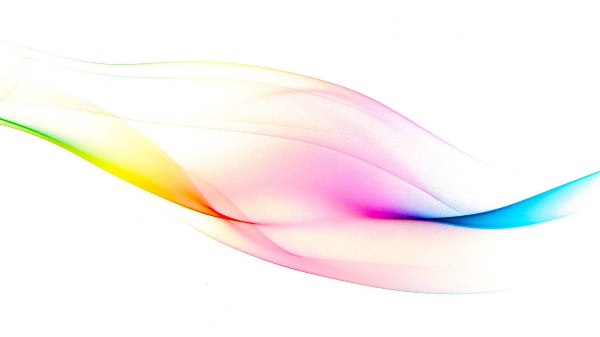 Abstract colorful wave on a white background