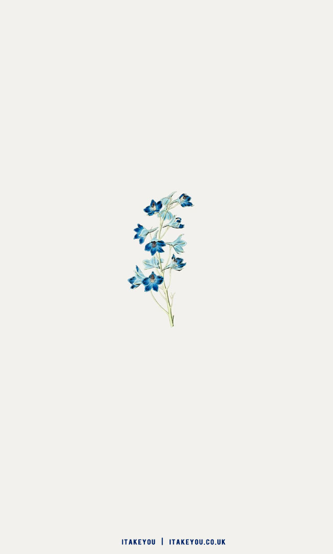 Blue Phone Wallpaper