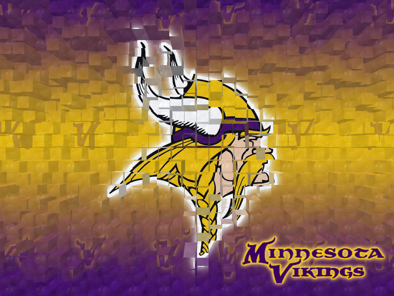 Minnesota Vikings Go Ashore