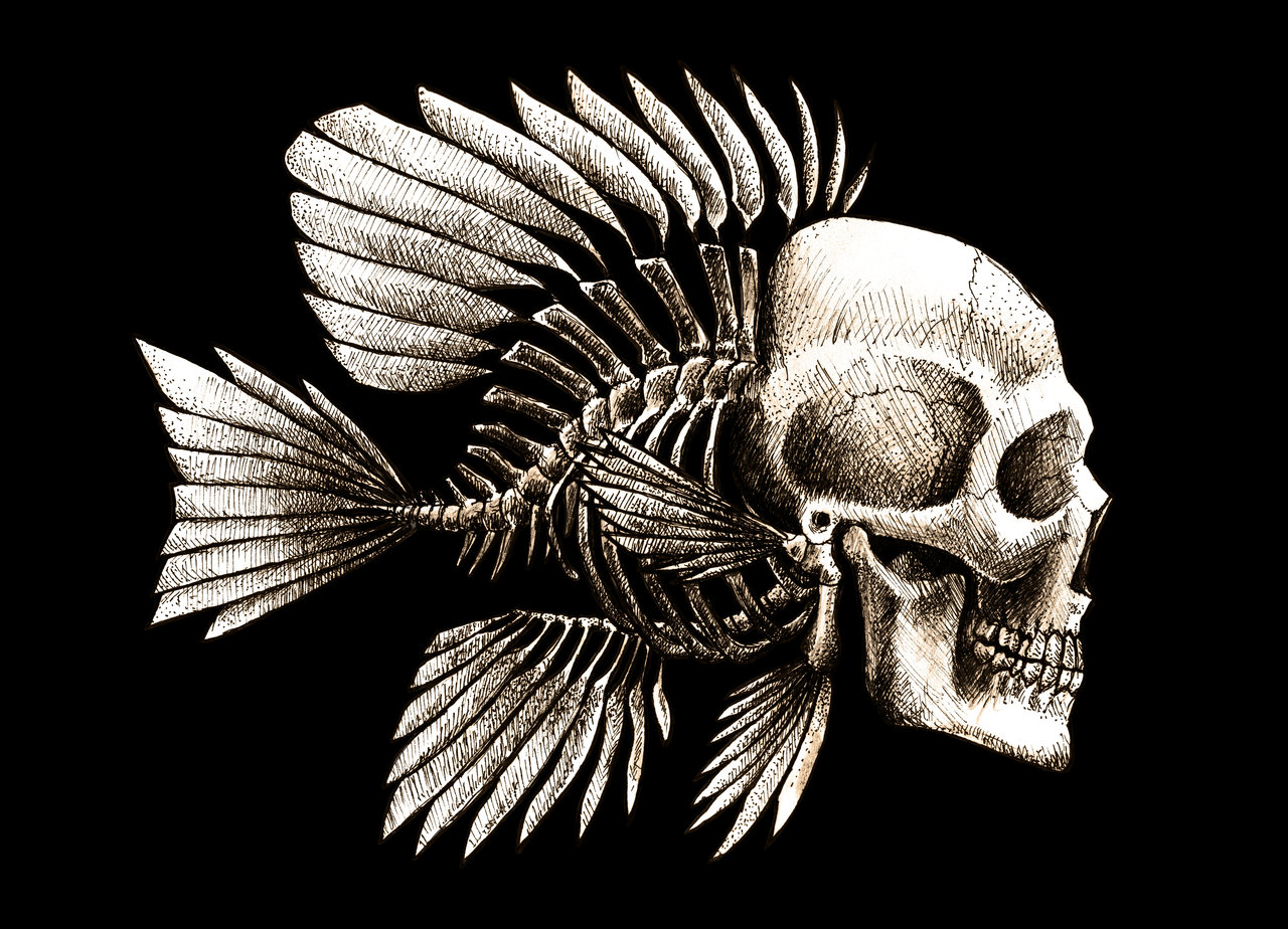 Fish Skull Design By Beanarts