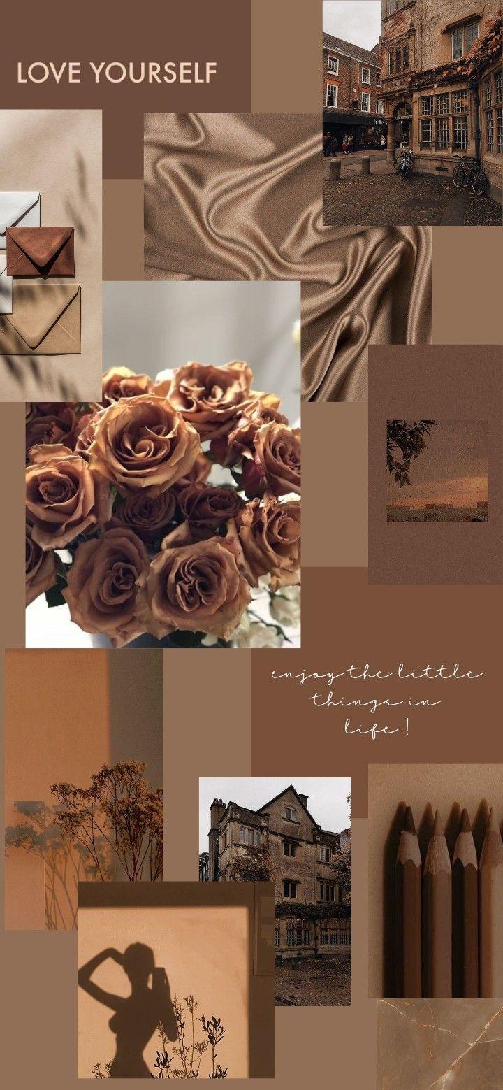 Background Aesthetic Brown Color Wallpaper Image For Free Download  Pngtree