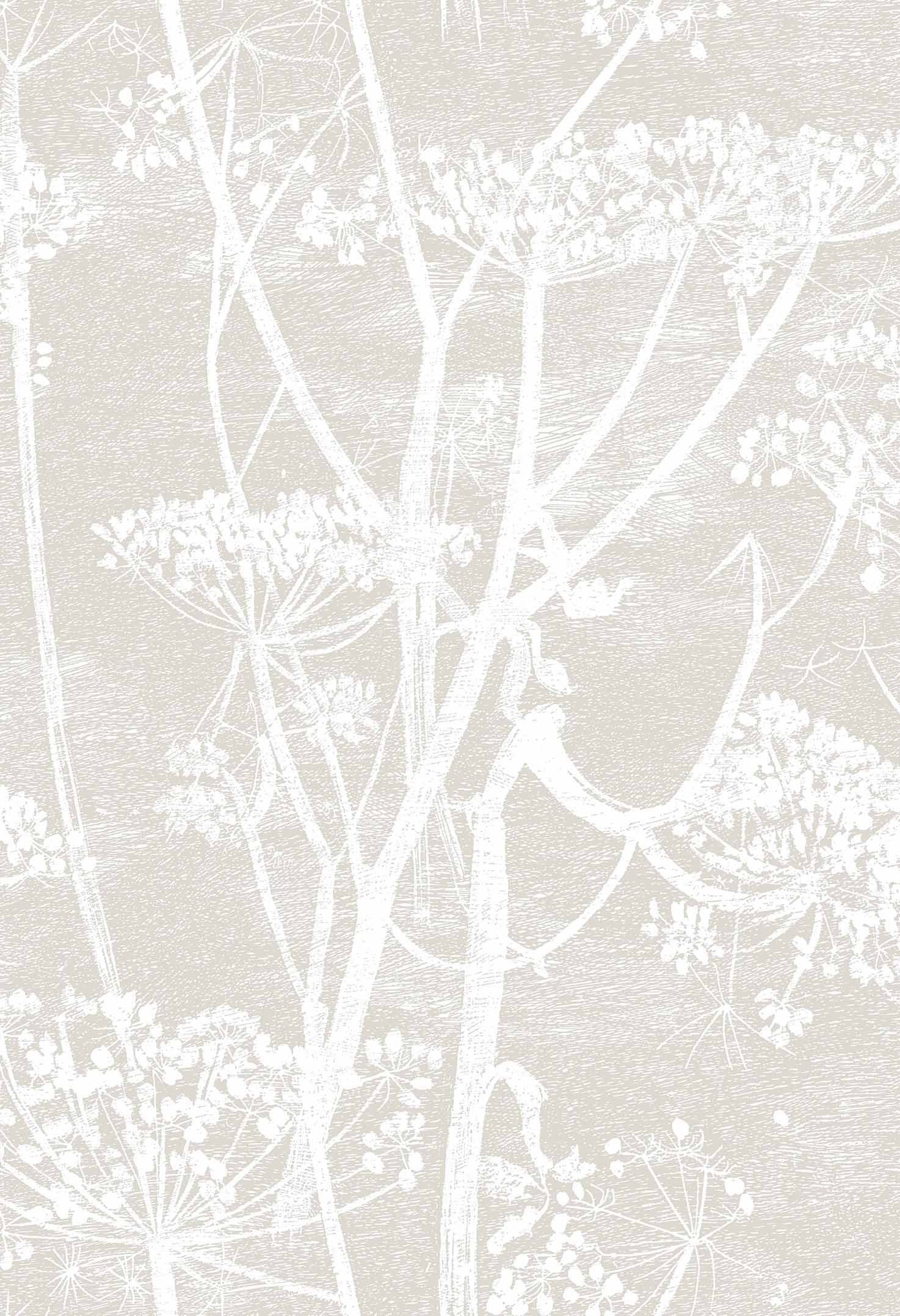 Cow Parsley Contemporary Restyled Wallpaper By Cole Son