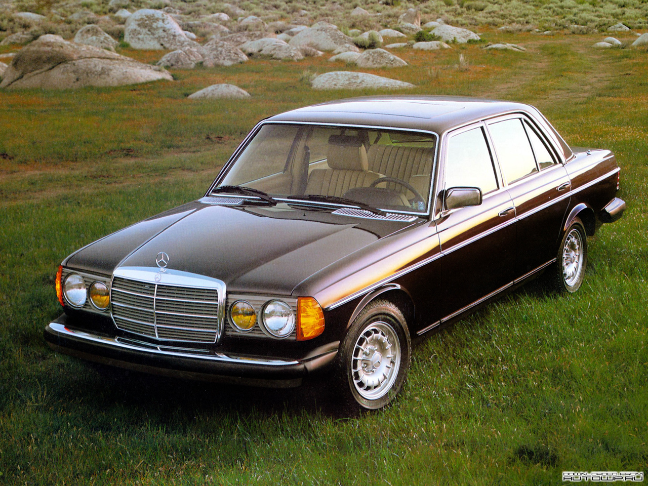 Mercedes Benz E Class W123 Photos Photogallery With Pics