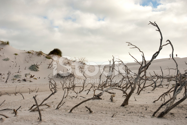 Desert Scene With Cloudy Skies Stock Photos Image