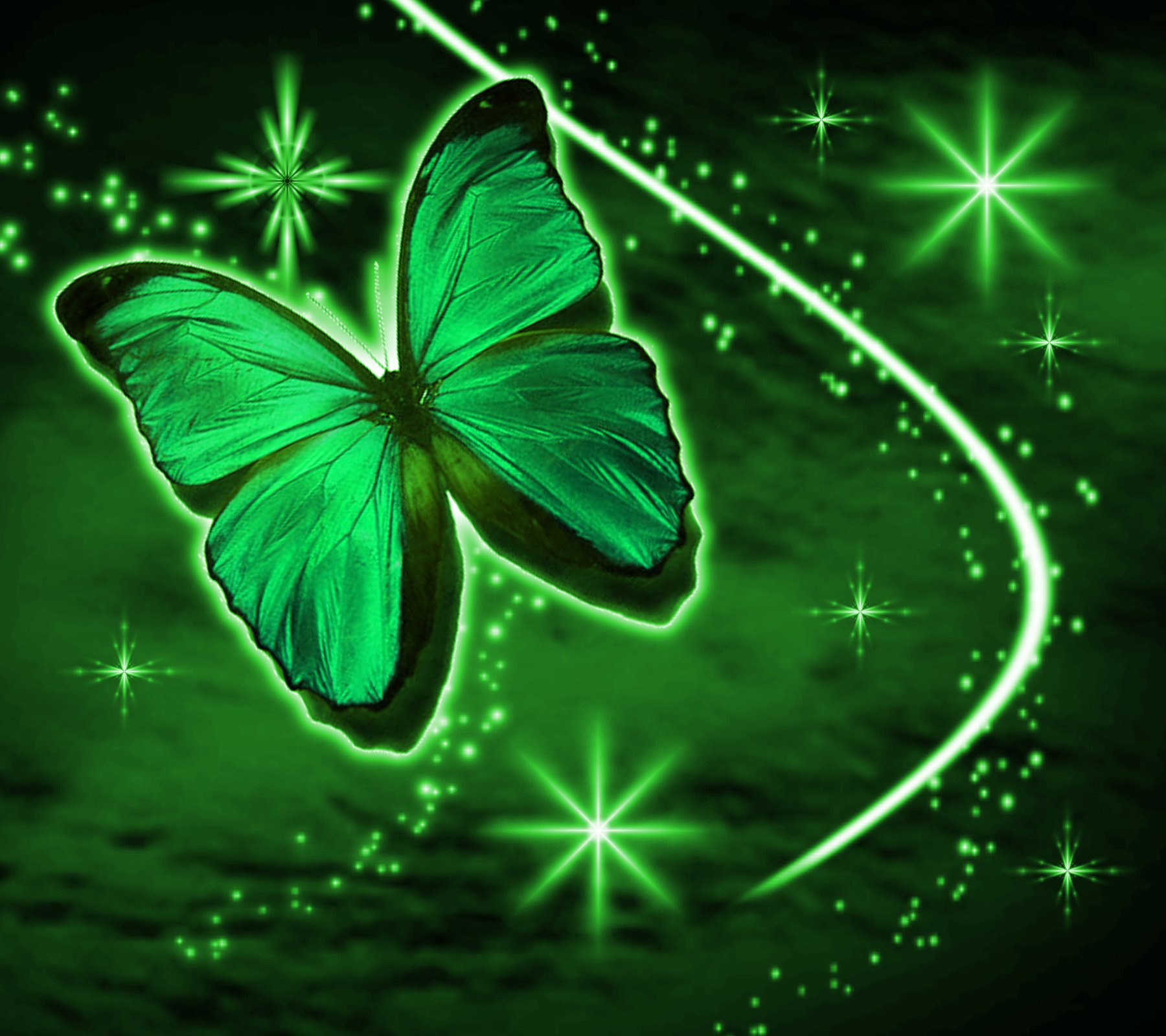 Green Butterfly With Stars Background