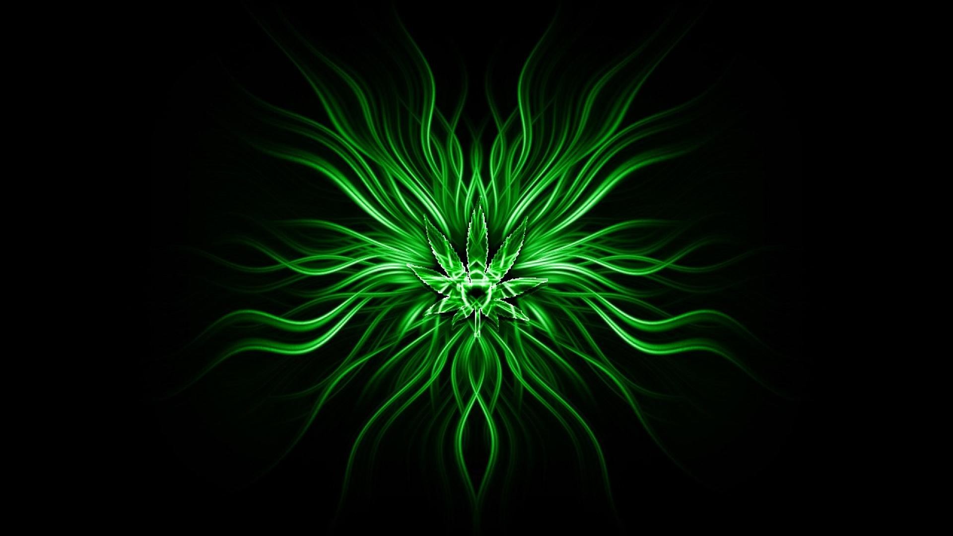 Dark Green Wallpaper