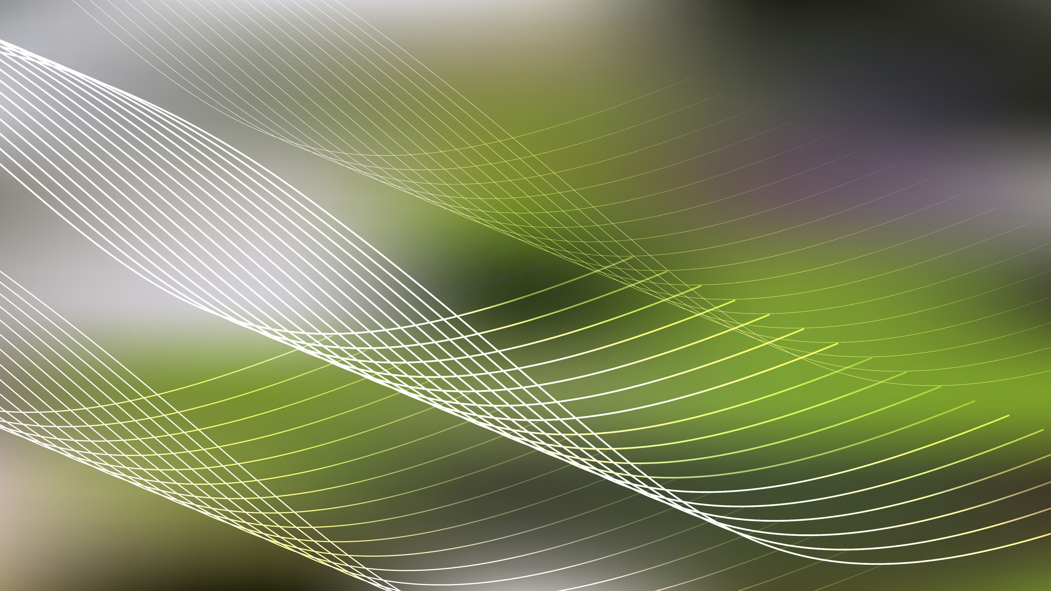 Green Spider Web Line Background Image Design