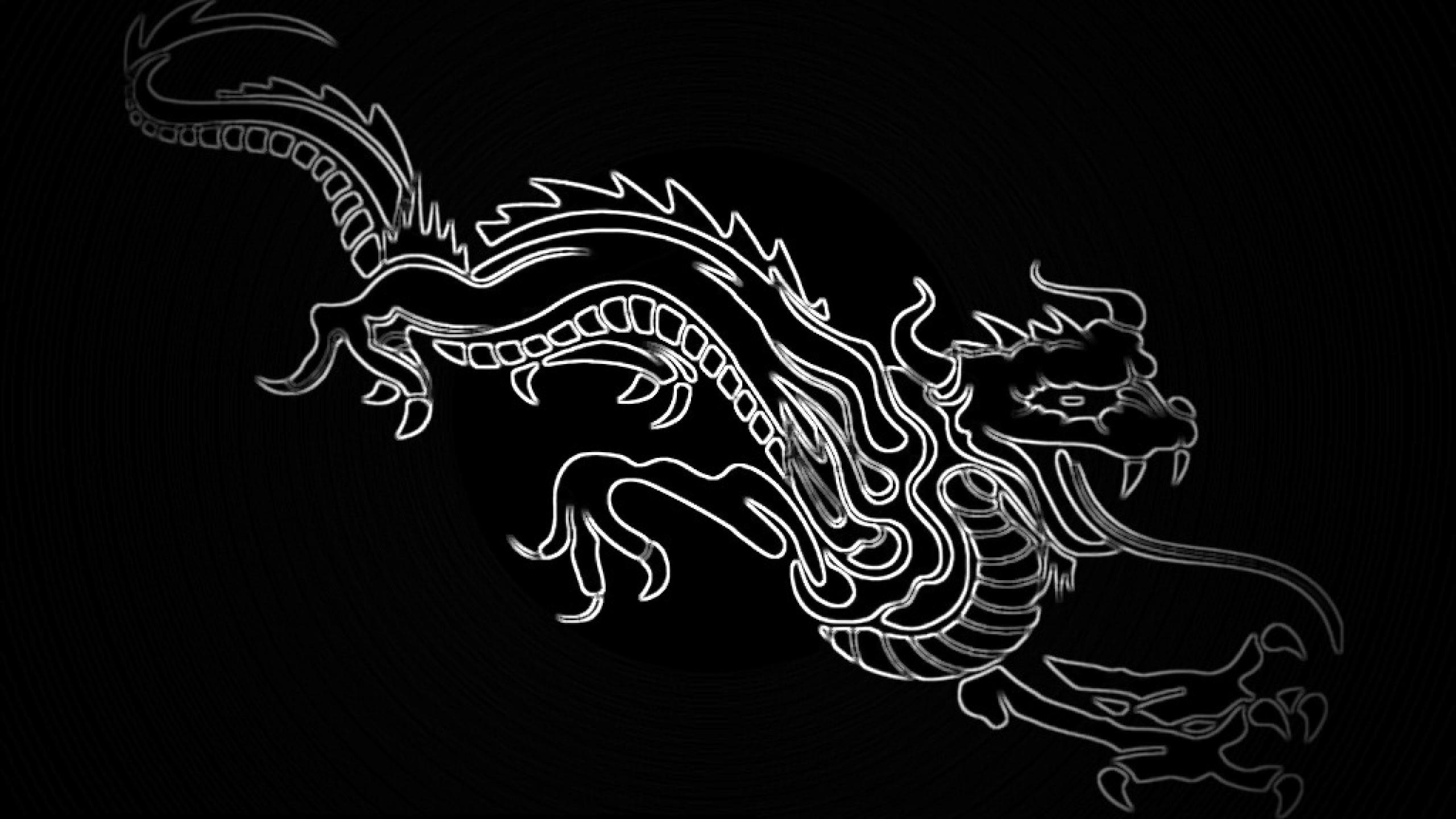 Ubuntu Dragon Wallpaper