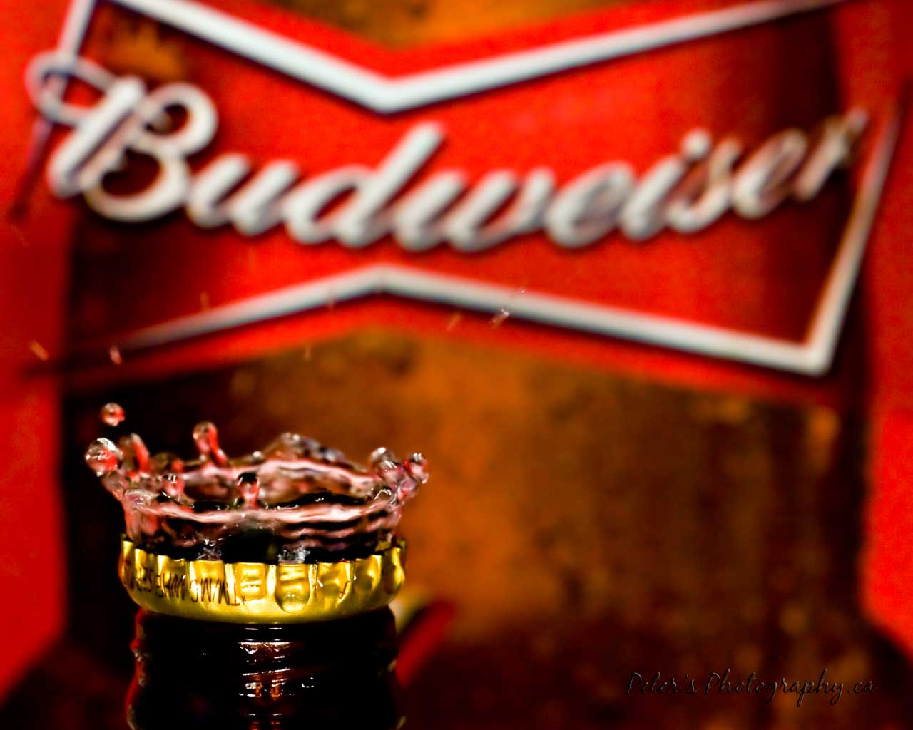 Budweiser Wallpaper Is Truly The King Of Beers