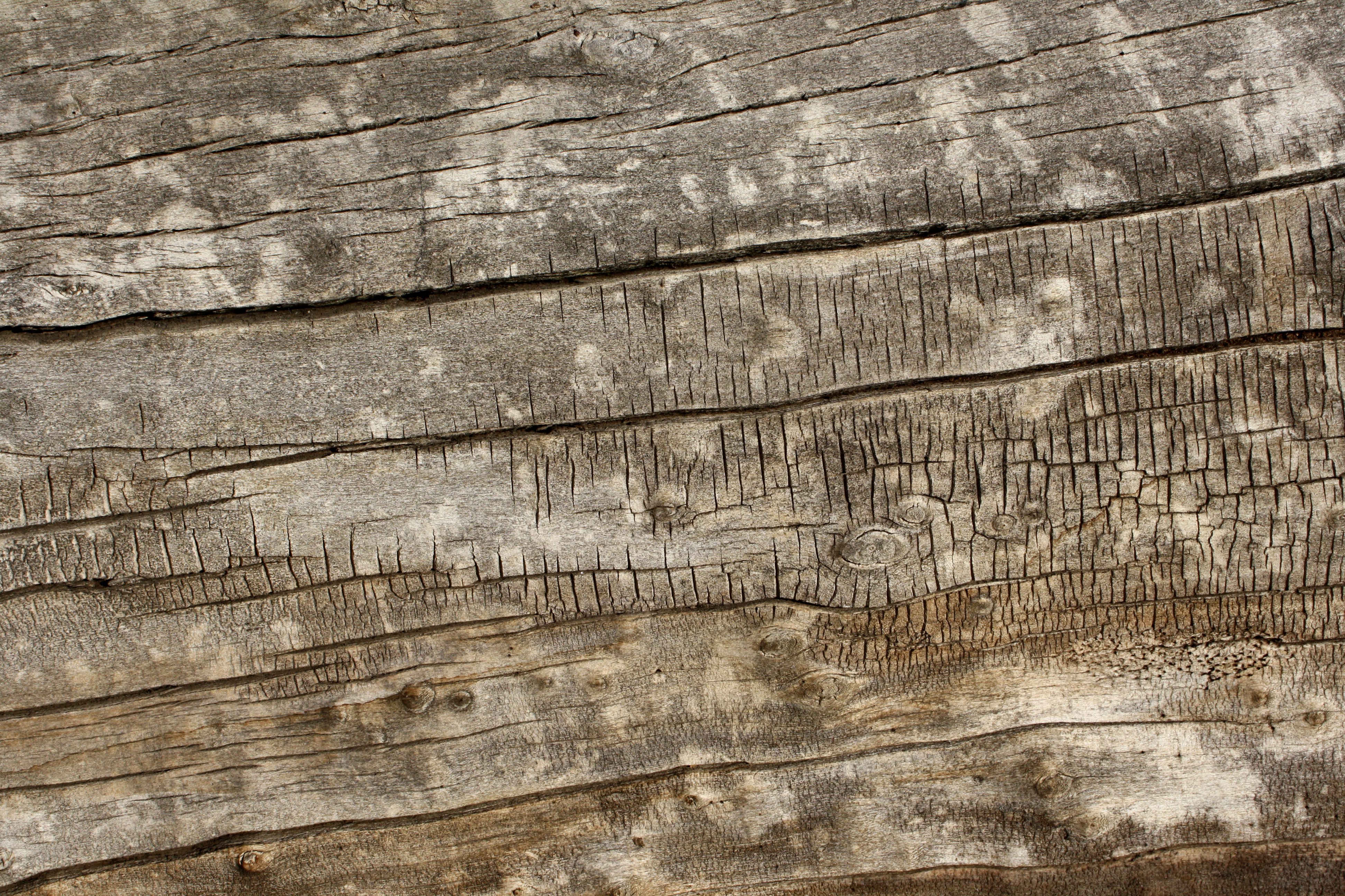 Old Weathered Wood Texture Picture Photograph Photos Public