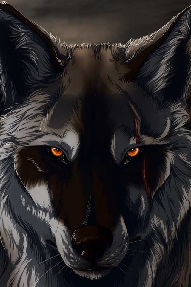 Black Wolf 3D Wallpapers for iPhone 4