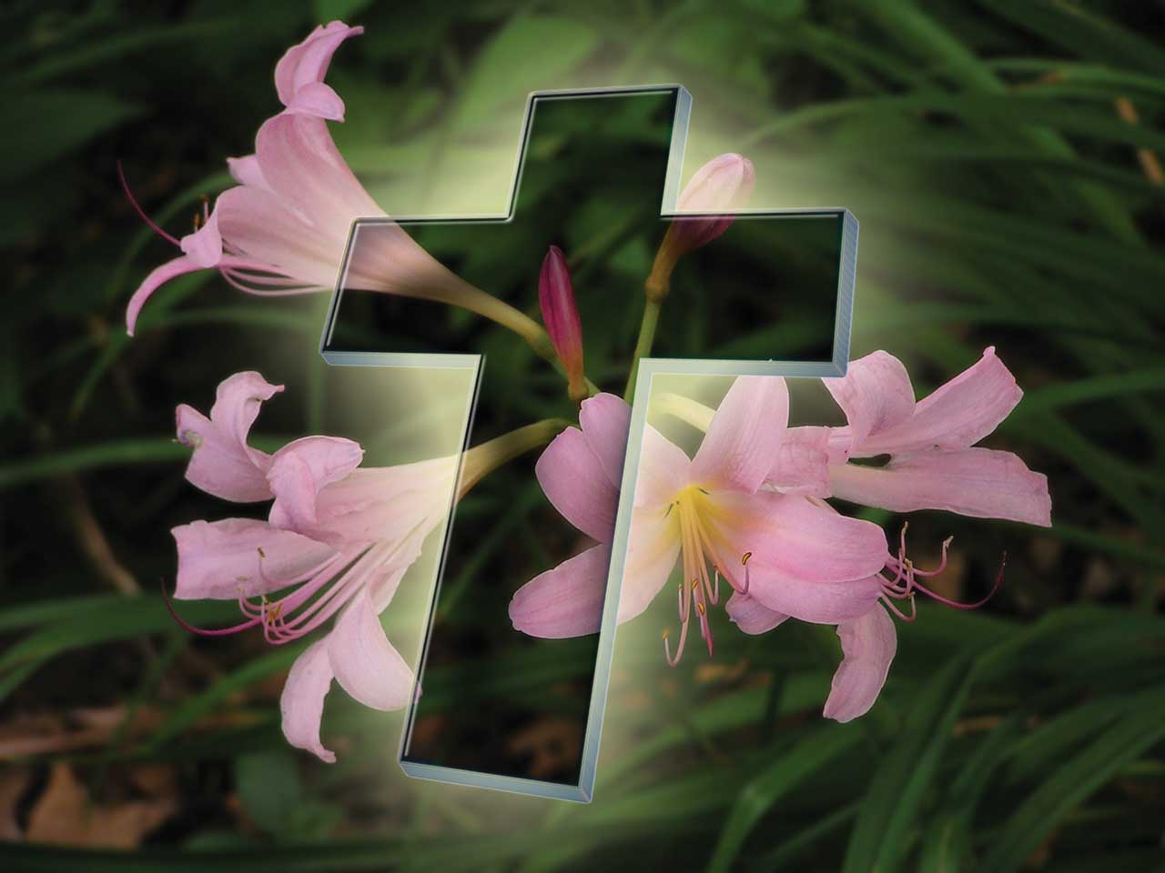 Easter Cross With Flowers Wallpaper Turn Back To God
