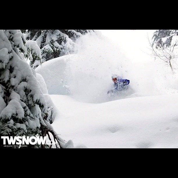 Twsnow Just Put Up This Shot Of Me As The New Wednesday Wallpaper