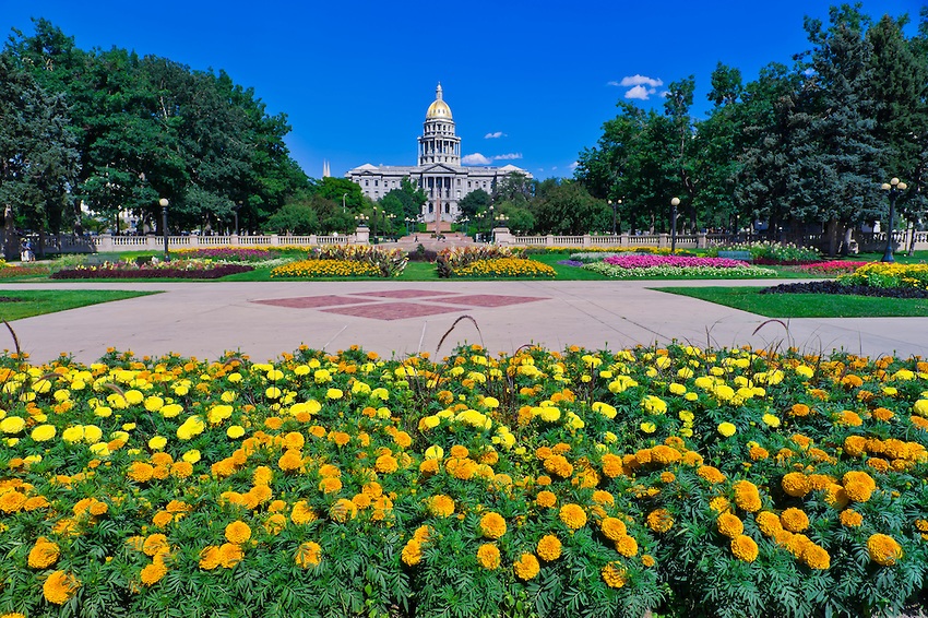 Free download Downtown Denver Colorado [850x566] for your Desktop