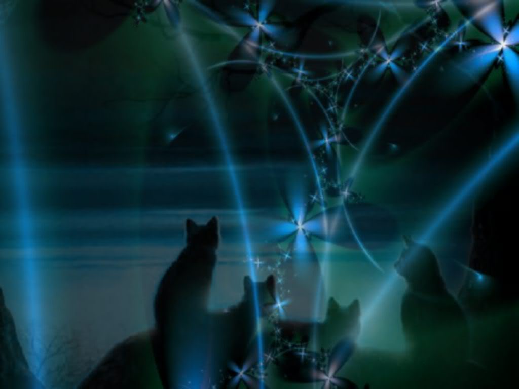 Warrior Cats Wallpaper Cat Desktop Background