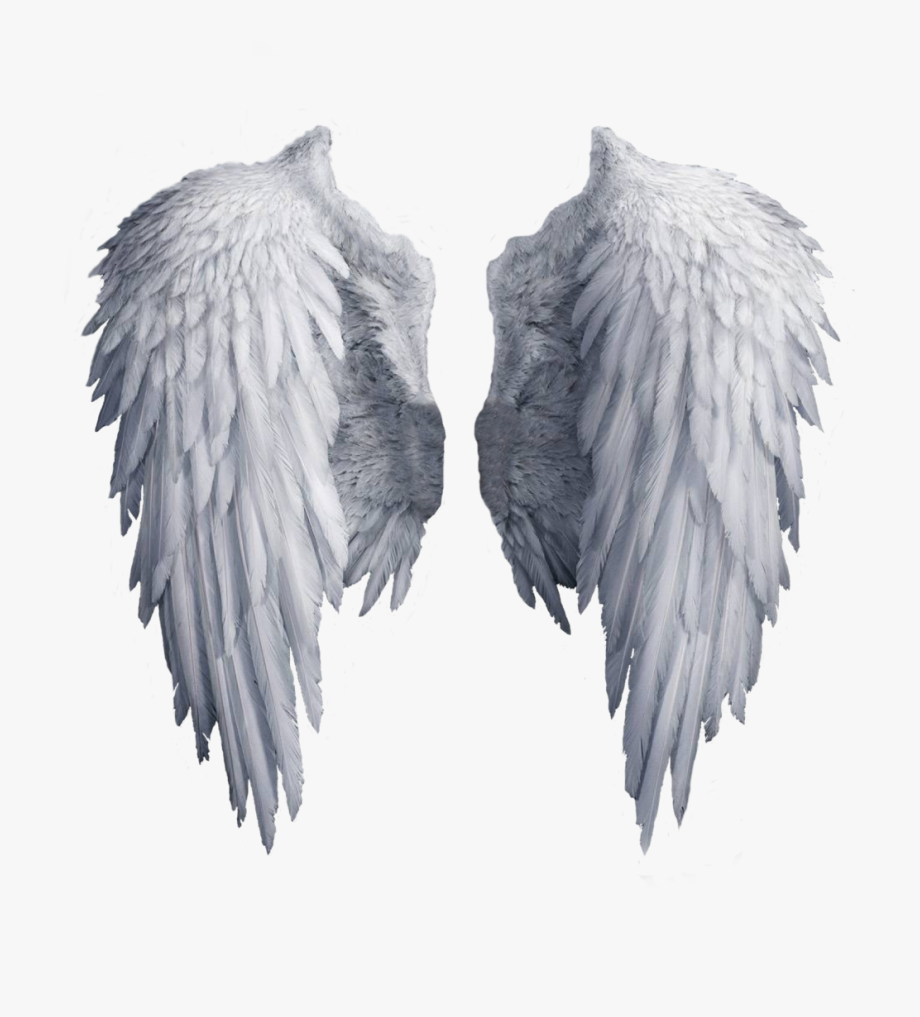 Angel Wings Png Transparent Background