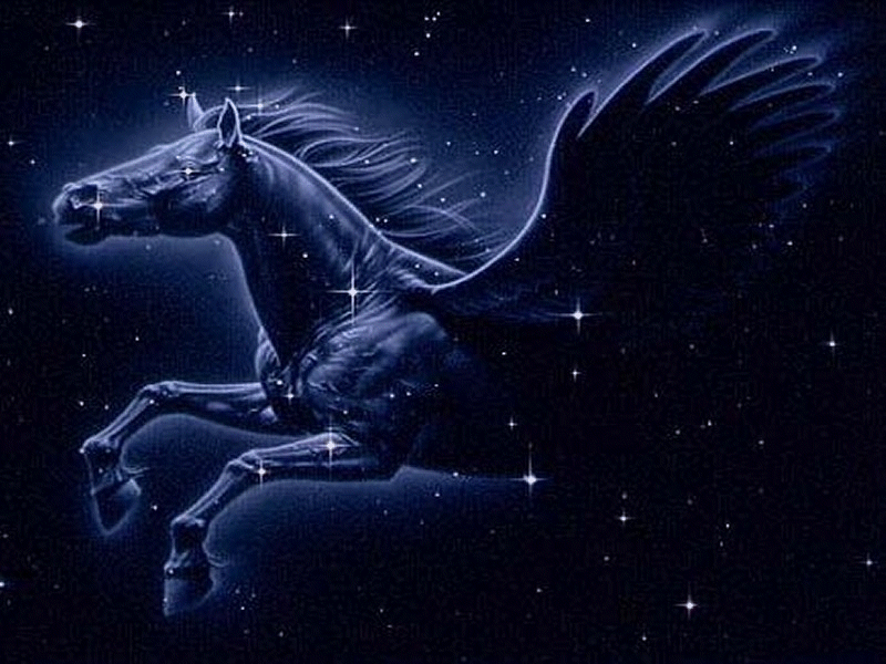 Pegasus Constellation   Anj and Jezzi   The Aries Twins Wallpaper