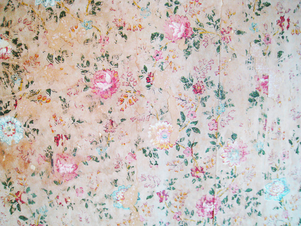 Floral Wallpaper Found On The Wall Under Layers Of Paint In Library